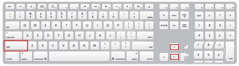 PPT怎么调节图片的大小? ppt设置图片大小的三种方法