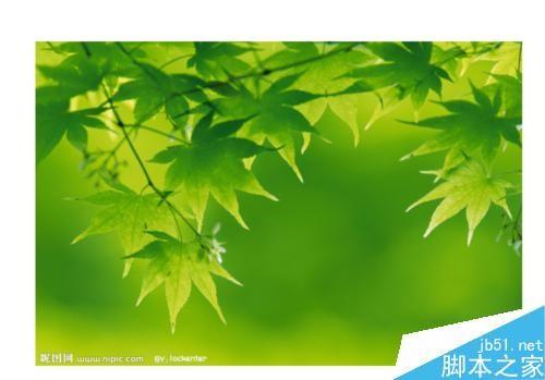 PPT怎么设置图片由模糊到清楚?