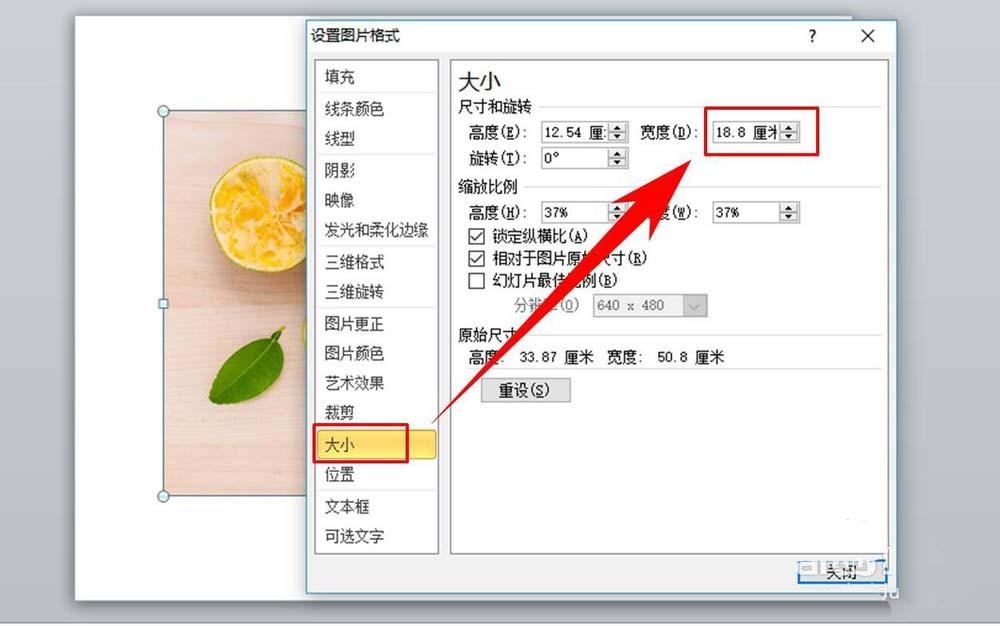PPT怎么给图片制作漂亮的效果?