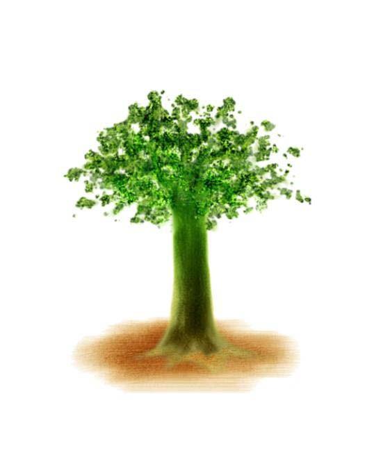 PPT怎么制作树苗慢慢成长成大树的动画?