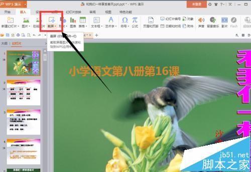 ppt幻灯片屏幕截图的图片怎么导入?