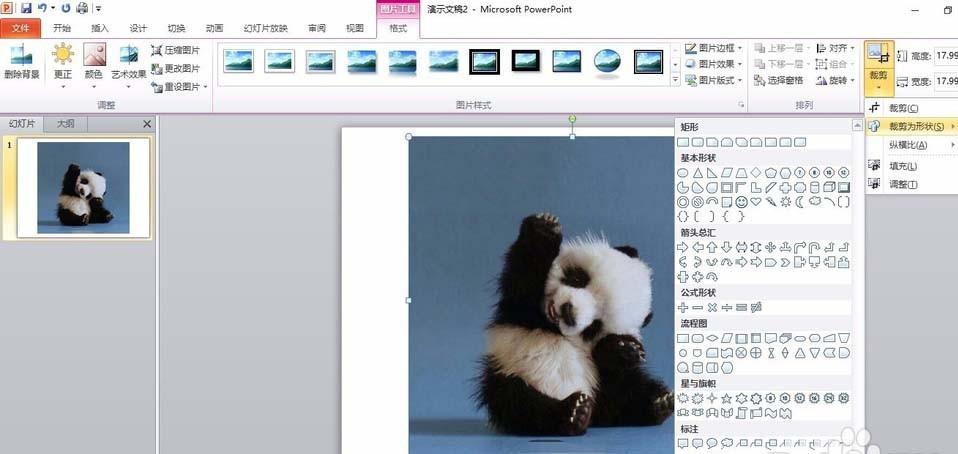 ppt图片怎么裁剪成圆形图?