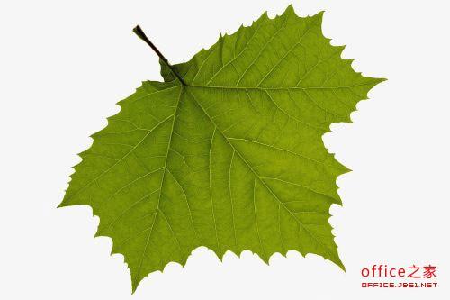 PPT中插入图片的背景色如何除去?