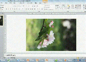 ppt怎么制作点击图片实现缩放动画效果?