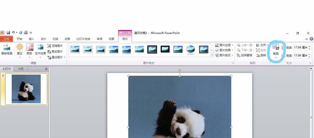 ppt图片怎么裁剪成圆形图?