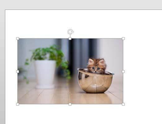 PPT图片怎么快速等分? ppt将图片拆分为相等大小的教程