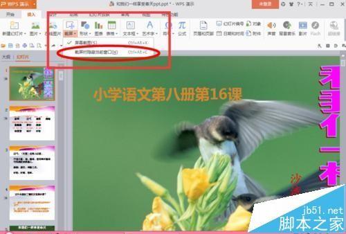 ppt幻灯片屏幕截图的图片怎么导入?