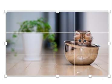 PPT图片怎么快速等分? ppt将图片拆分为相等大小的教程