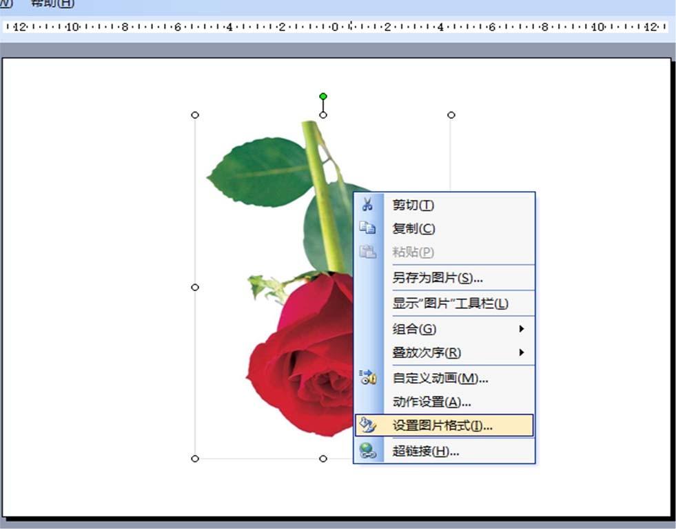 ppt怎么旋转图片? ppt调整图片角度的教程