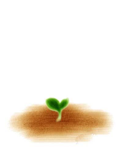 PPT怎么制作树苗慢慢成长成大树的动画?