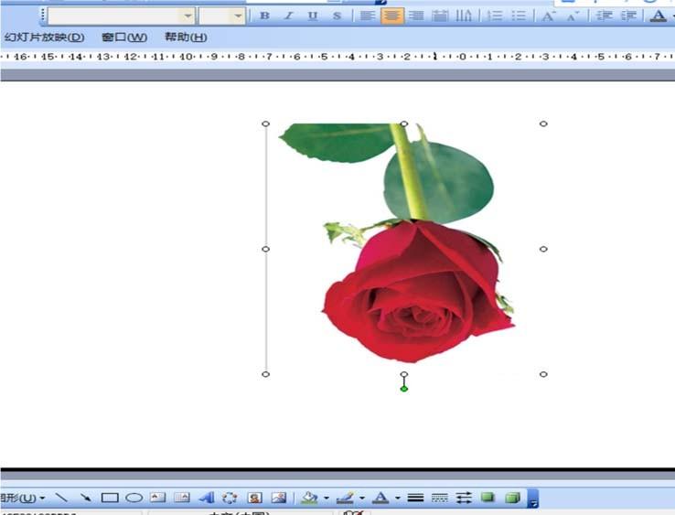 ppt怎么旋转图片? ppt调整图片角度的教程