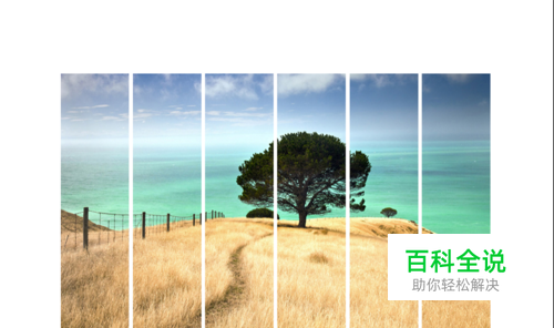 ppt中如何让图片排版更加美观