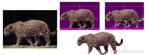 PPT2013自带的图片处理功能如何使用