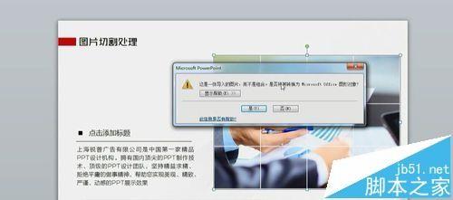ppt怎么分割图片? ppt将图片分割成多个方格图的教程