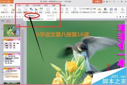 ppt幻灯片屏幕截图的图片怎么导入?