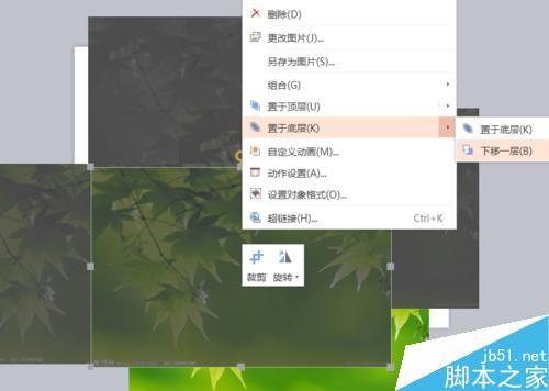 PPT怎么设置图片由模糊到清楚?