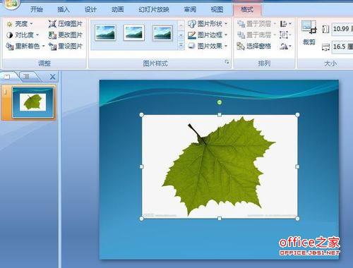 PPT中插入图片的背景色如何除去?