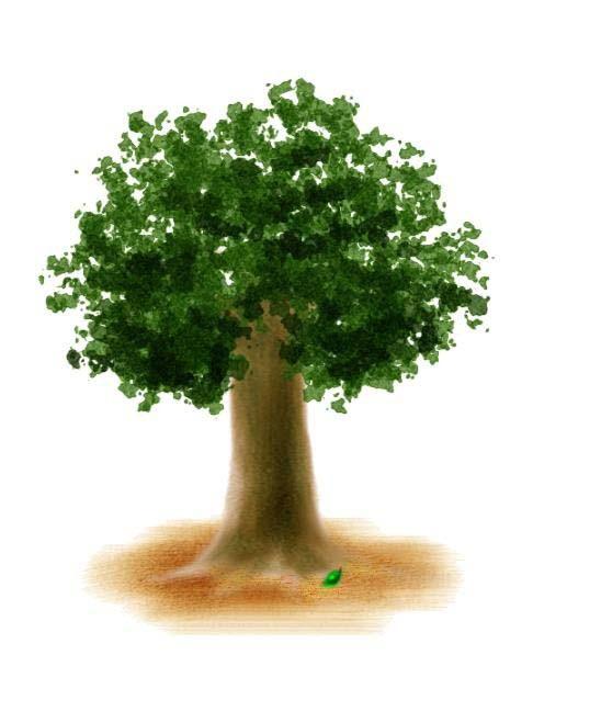 PPT怎么制作树苗慢慢成长成大树的动画?