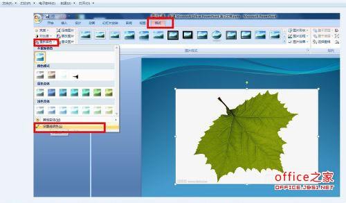 PPT中插入图片的背景色如何除去?