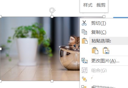 PPT图片怎么快速等分? ppt将图片拆分为相等大小的教程