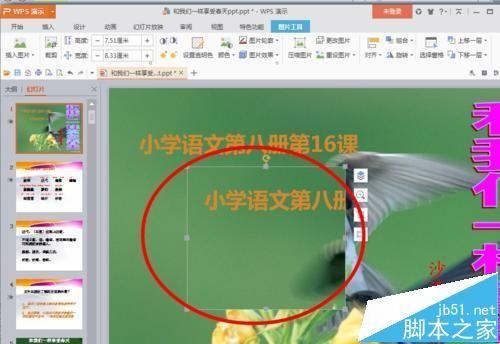 ppt幻灯片屏幕截图的图片怎么导入?
