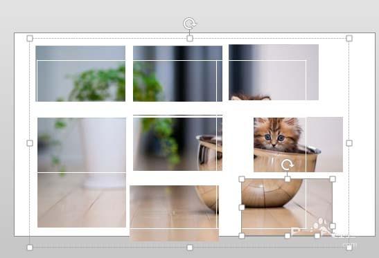 PPT图片怎么快速等分? ppt将图片拆分为相等大小的教程