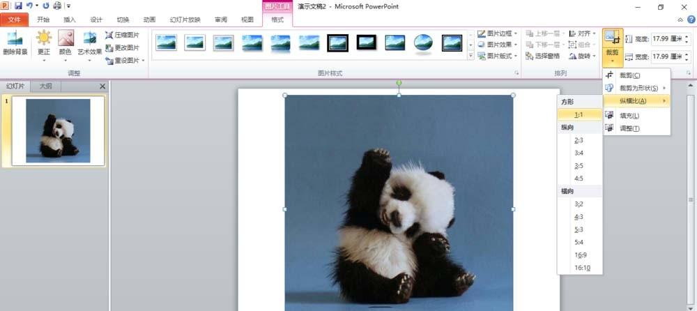 ppt图片怎么裁剪成圆形图?