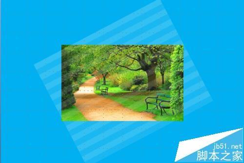 PPT怎么将图片晶格化? ppt晶格化图片的教程