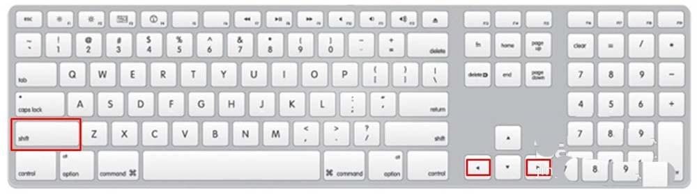 PPT怎么调节图片的大小? ppt设置图片大小的三种方法