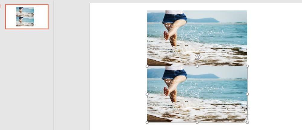 ppt图片怎么添加倒影效果?