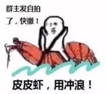 皮皮虾我们走什么意思?