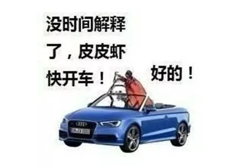 皮皮虾我们走什么意思?