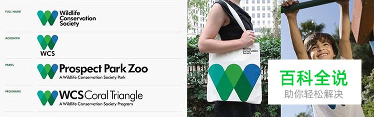 品牌形象应用的5个错误及如何正确应用？