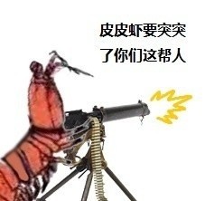 皮皮虾我们走什么意思?