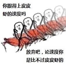 皮皮虾我们走什么意思?