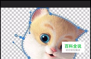 pr不透明度的钢笔怎么用？