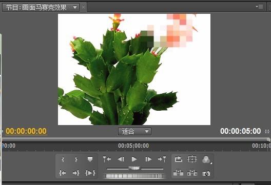 Premiere制作画面静态马赛克效果