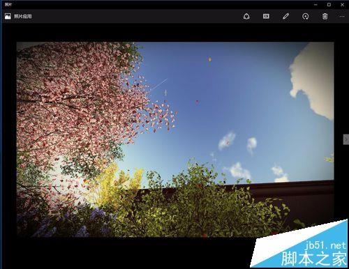 Premiere怎么导出单帧图片?
