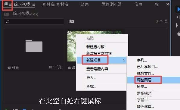 Premiere视频怎么制作一半黑白一半彩色效果?