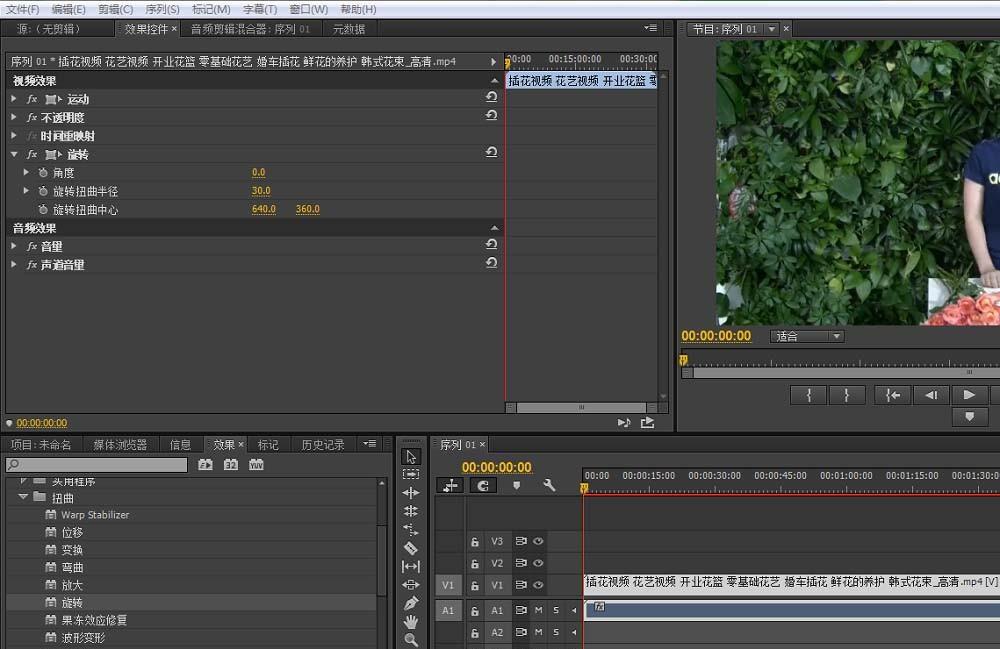 premiere怎么给视频添加扭曲视频效果?