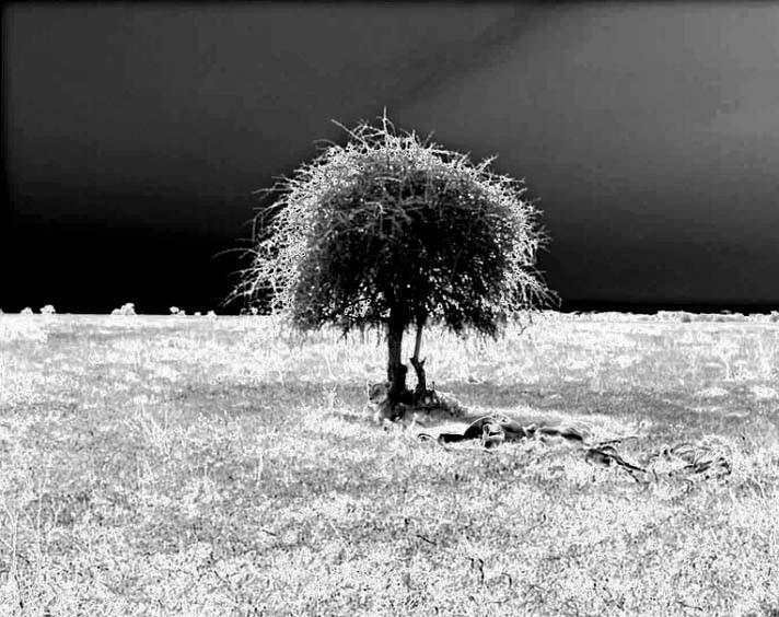 premiere垂直定格和提取效果该怎么制作?