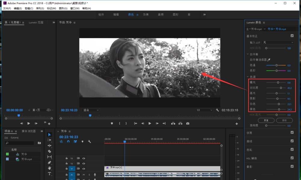 premiere2018视频怎么去色制作黑白效果?