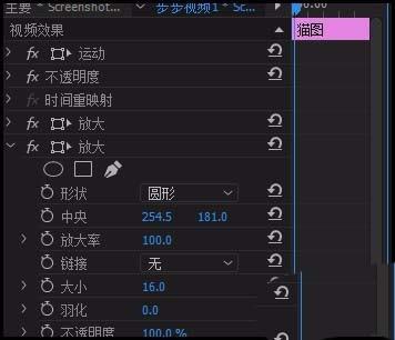 premiere猫咪的眼睛怎么放大和增亮?