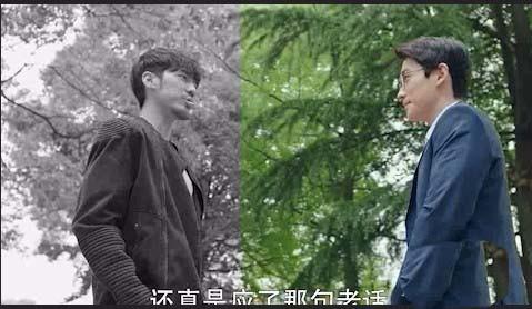 Premiere视频怎么制作一半黑白一半彩色效果?