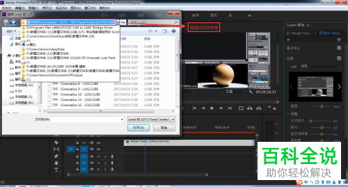 premiere怎么给视频添加调色预设LUT文件效果