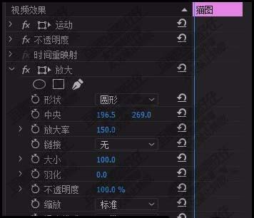 premiere猫咪的眼睛怎么放大和增亮?