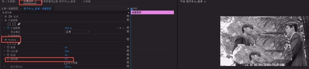 Premiere视频怎么制作一半黑白一半彩色效果?