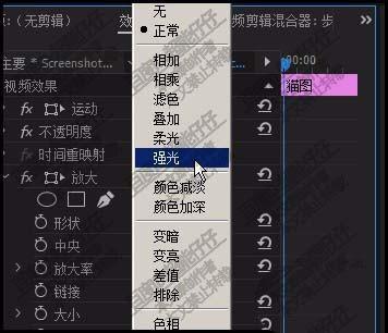 premiere猫咪的眼睛怎么放大和增亮?