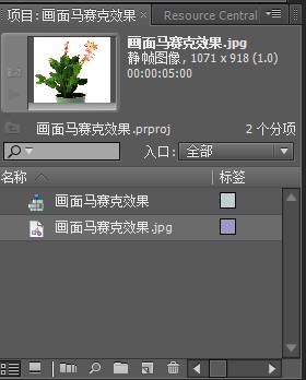 Premiere制作画面静态马赛克效果