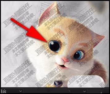 premiere猫咪的眼睛怎么放大和增亮?